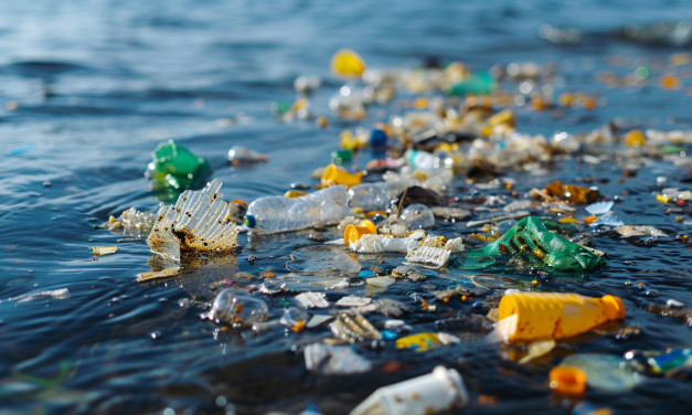 Plastic-Eating Bacteria: A Solution to Pollution?